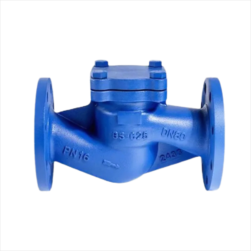 DIN 3203 Carbon Steel Pn16 Pn25 Pn40 Flanged Piston Lift Check Valve