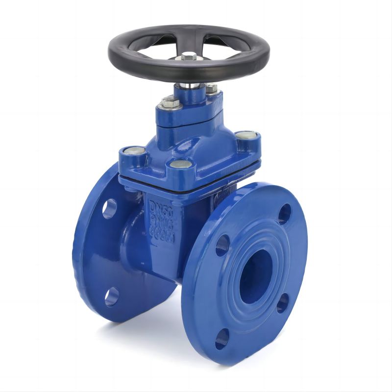 DIN3352 F4 Resilient Seat Flanged Gate Valve
