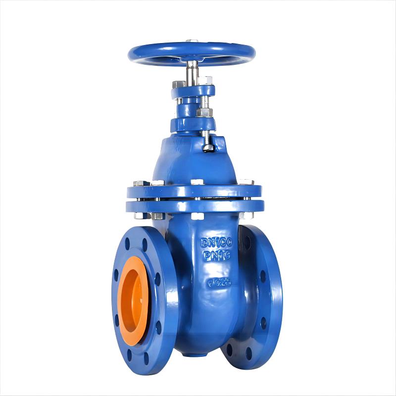 BS5163 Metal Seat Seal Gate Valve