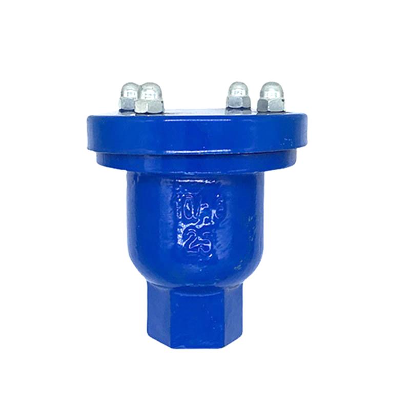 Threaded Cast Iron Air Valve PN16