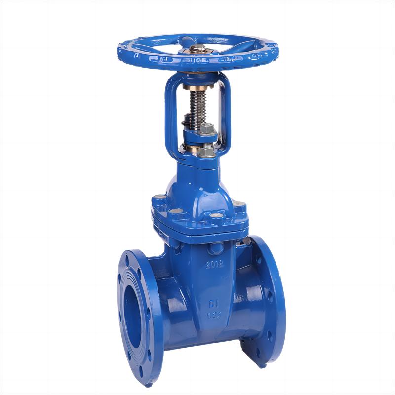 BS5163 Resilient Seat Seal Rising Stem Gate Valve