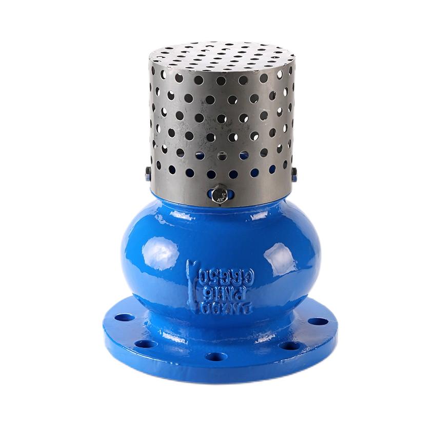 Ansi cast iron flanged foot valve with stainless steel screen