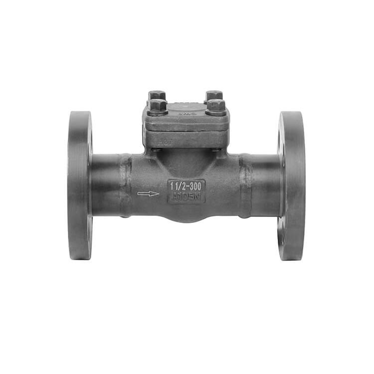 Welded flange swing check valve