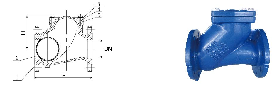 Ball Type Check Valve flanged and threaded end (6)