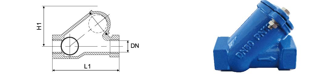 Ball Type Check Valve flanged and threaded end (7)