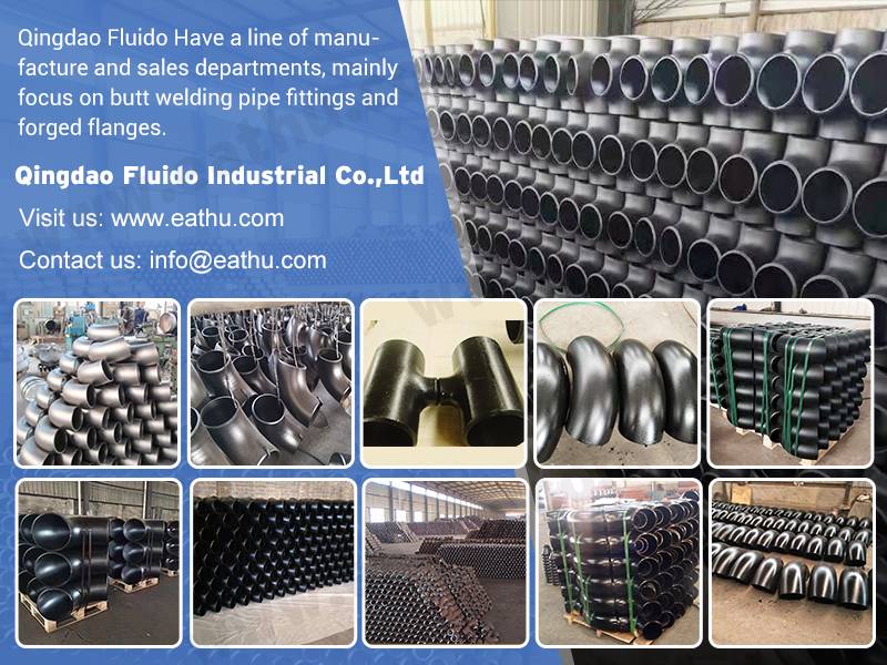 FLUIDO butt welding pipe fitting 2(1)